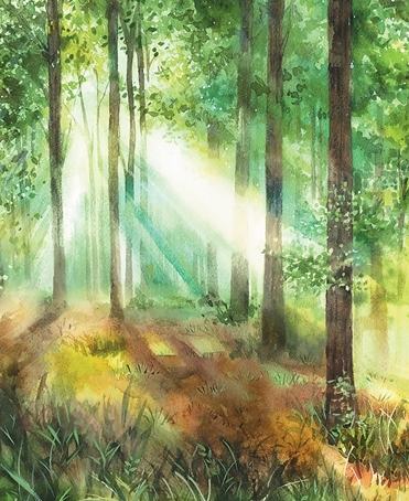 云嵐深處抽新芽